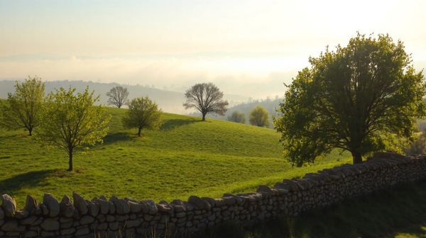Guide pratique pour un pré-fibrage réussi en Mayenne